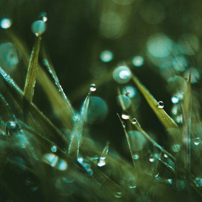 The Biggest Key To Healthy Natural Hair: Moisture